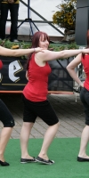 leinoelfet2008_16