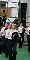 leinoelfet2008_19