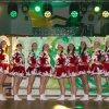 kappe2023_016