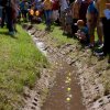 kinderfest2019_43