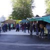 parkfest2022_13